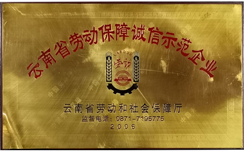 云南省劳动保障诚信示范企业